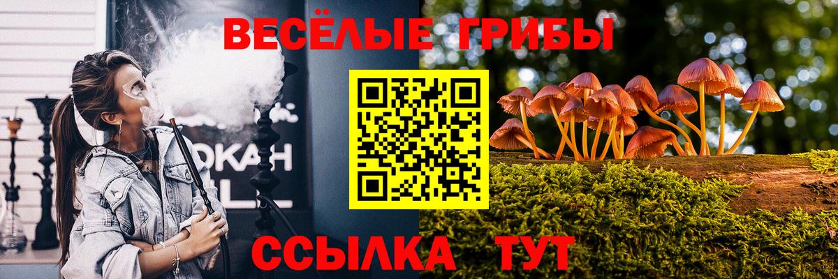 A PVP СОЛЬ   Канабис  Вход с VPN  Экстази  ГАШИШ  Гашиш  Можга  Марихуана  Меф  