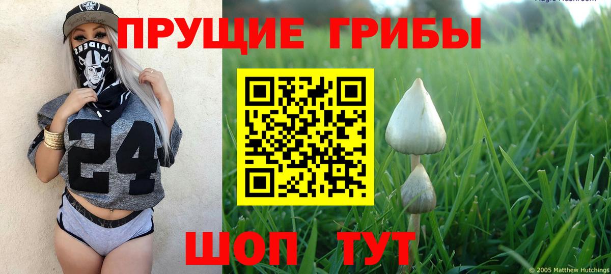 Галлюциногенные грибы мухоморы  Галлюциногенные грибы MAGIC MUSHROOMS  Вход с VPN  купить   Можга 